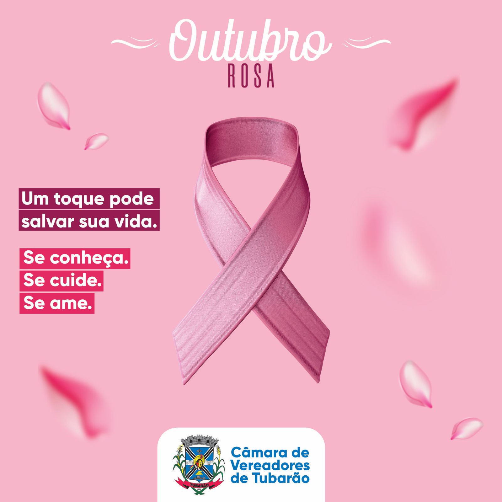 OUTUBRO ROSA