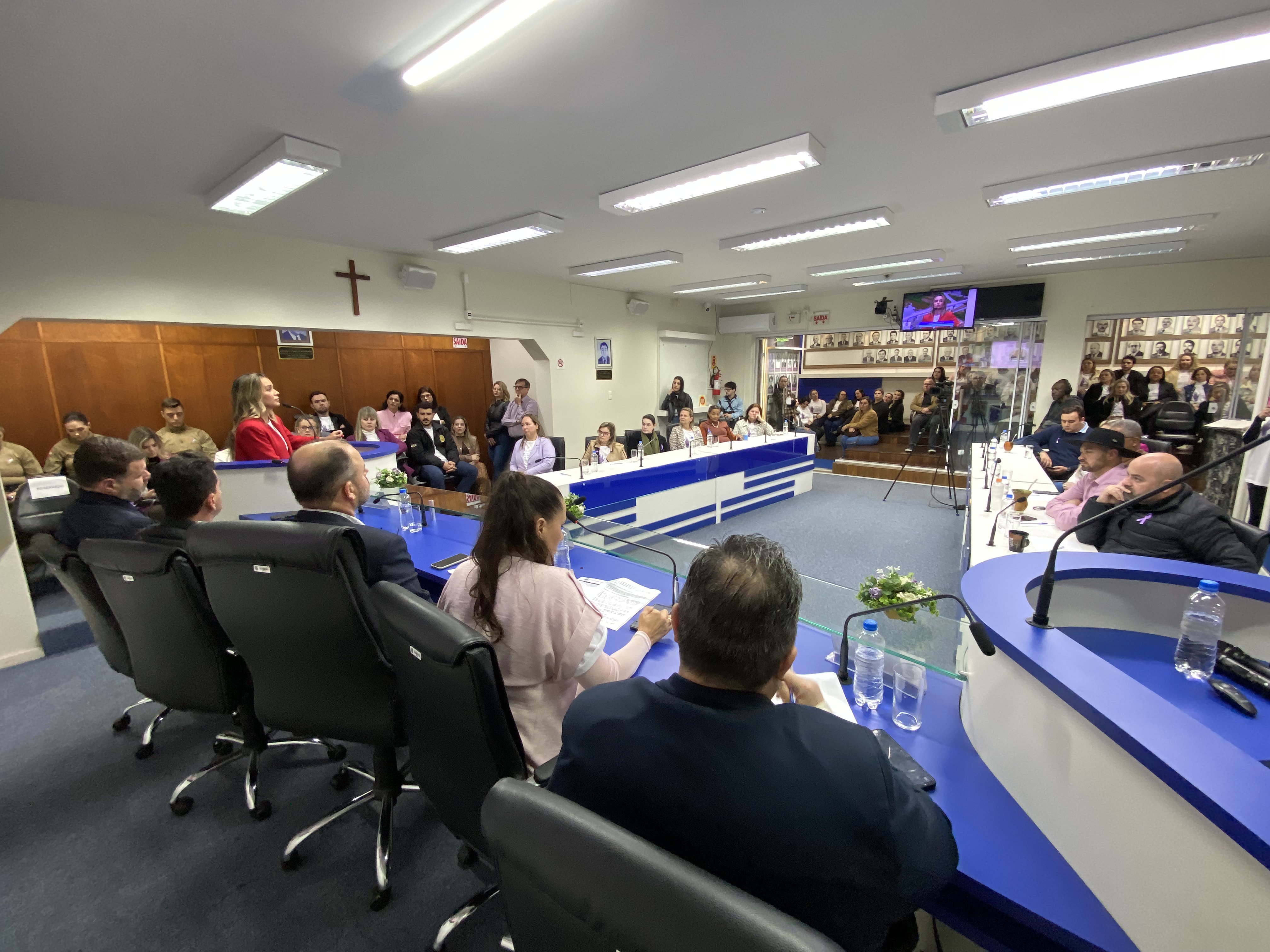 Câmara de Tubarão promove audiência pública do Agosto Lilás para reforçar ações de combate à violência contra a mulher
